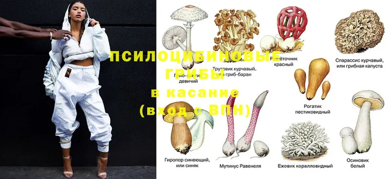 Псилоцибиновые грибы MAGIC MUSHROOMS  Давлеканово 